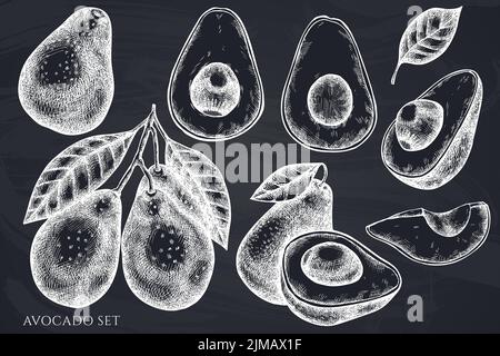 Fruits hand drawn vector illustrations collection. Chalk avocado. Stock Vector
