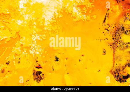 abstract autumn forest yellow paint background Stock Photo