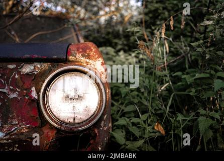 A closeup of old rusty abandoned car in the garden among nettles Stock Photo