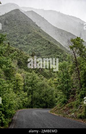 A vertical shot of road surrounded by growing dense trees in background of greenery huge mountains Stock Photo