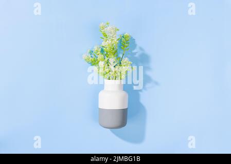 A vase with fresh white flowers isolated on a blue background Stock Photo
