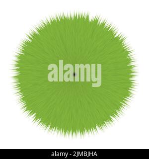 Green Fluffy Hair Pom Stock Photo