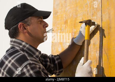 Image of a construction worker with hat and nails between his lips who with a hammer fixes wooden boards. Masonry and construction works Stock Photo