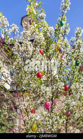 Colourful easter eggs on blooming tree Stock Photo