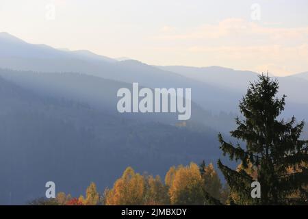view on mountain ridges in morning Carpathians, Ukraine Stock Photo