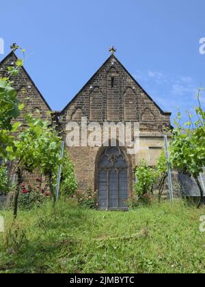 Minden - Viticulture in front of St. Mary's Church, Germany Stock Photo