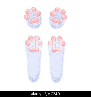 Hare paws concept. Cute and lovely rabbit feet. Isolated illustration ...