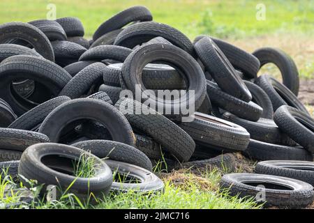 Old tires in a grass field on a farm Stock Photo