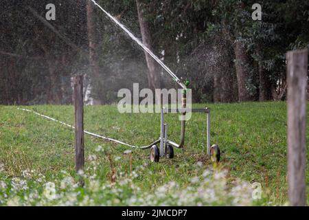 water sprinklers turned on in a farm field, agriculture and nature care, environment on farm in the day Stock Photo