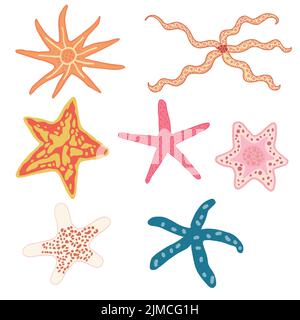Sea stars hand drawn vector illustration collection. Stock Vector