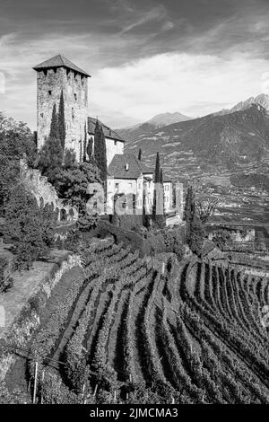 Tyrol castle near Meran, South Tyrol Stock Photo - Alamy