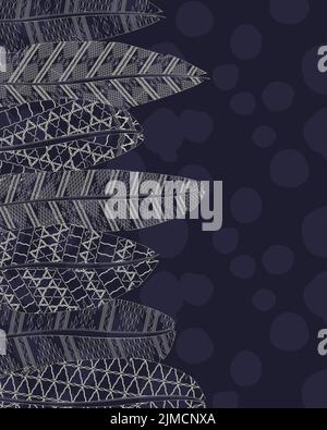 vector feathers in boho style. Isolated on white background Stock Photo ...