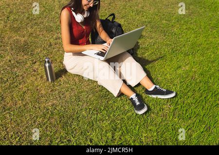 Female student typing on netbook while doing homework on lawn in park on summer day Stock Photo