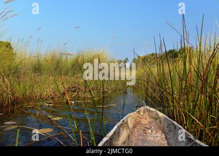 Okawango Delta, Bostwana, Stock Photo