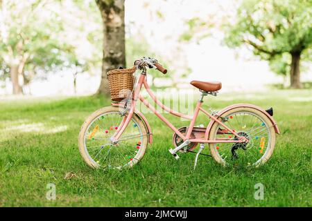 Pink bike with colorful decorations and wicker basket parked on green grassy lawn on summer weekend day in park Stock Photo