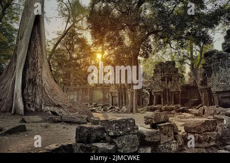 Ta Prohm temple in Angkor Wat Cambodia Stock Photo
