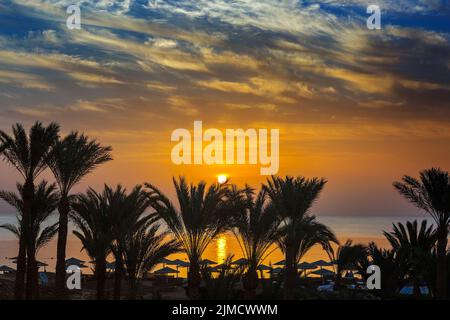 Palms and sea on resort before sunrise Stock Photo