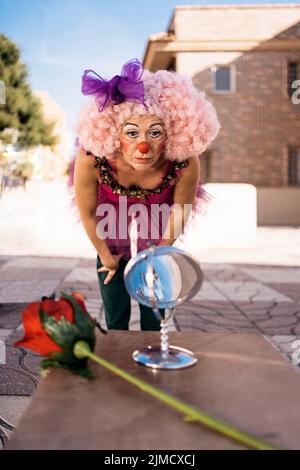 Adult female artist in funny clown dress pink wig and nose leaning forward and looking in small round mirror before street performance Stock Photo