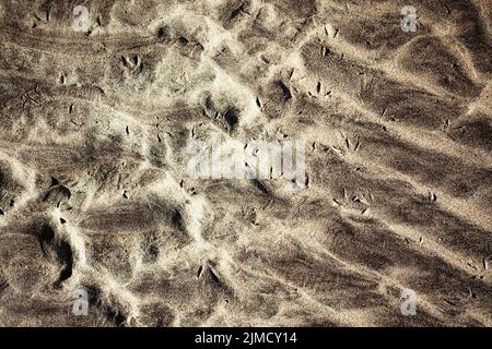 From above of bird footprints on sandy coast with rough uneven surface in coastal area of Iceland on sunny day Stock Photo