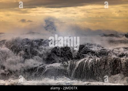 Picturesque view of foamy sea waves rolling and splashing on stormy day in Iceland during sunset Stock Photo