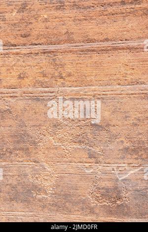 Barely visible goat petroglyphs carved on rock wall of Buckskin Gulch canyon in Utah, USA Stock Photo