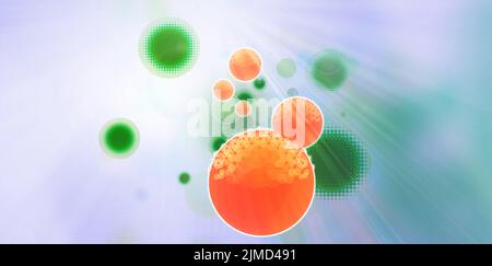 Antibody structure, illustration Stock Photo - Alamy