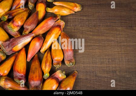 Pinion, traditional Brazilian food, seed of the auraucaria. Stock Photo