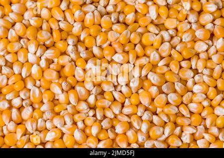 Beautiful pop corn background for various use. Popcorn corn grai Stock Photo
