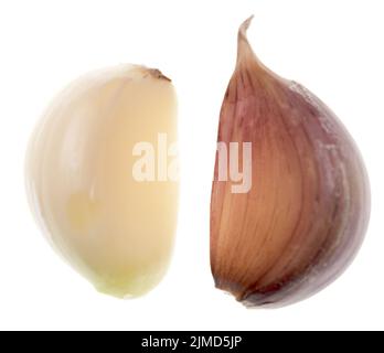 Garlic on white Stock Photo