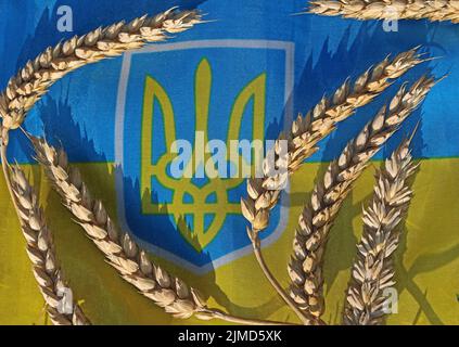 Ukraine flag, with cereals grains, highlighting farming issues, reduced export of grain and increasing food prices, such as bread and animal feeds Stock Photo