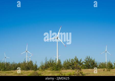 Great concept of renewable, sustainable energy. Wind field with wind turbines, producing aeolian ene Stock Photo