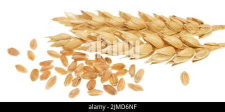 Wheat on white Stock Photo