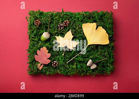 Autumn Leaves Cones And Acorn On Moss Stock Photo