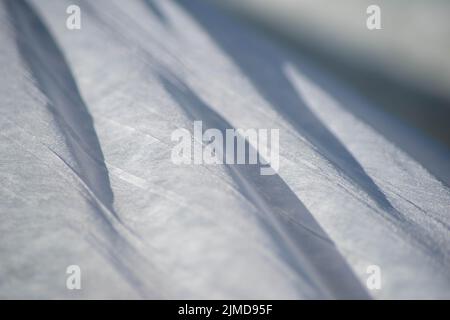 White garden fabric ripples softly and shines in the wind. Stock Photo