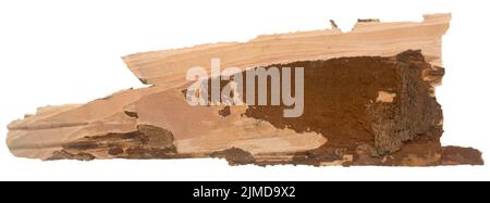 Bark on white Stock Photo