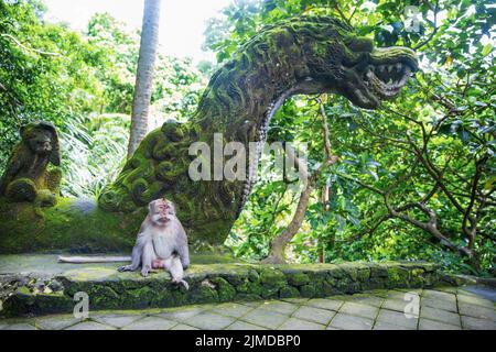 Monkey sitting near the dragon and monkey statue Stock Photo