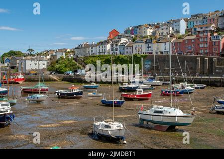 Low Tide in the Harbour, Brixham, Devon, England Stock Photo