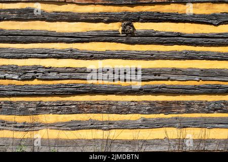 Close up of outside wall of colonial log cabin. Stock Photo