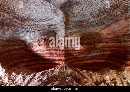 Red and orange patterns on ceiling of sylvinite salt quarry Stock Photo