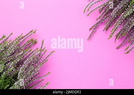 Autumn Concept With Pink Heather Flowers Stock Photo