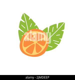 Orange fruit, slice and leaves. Doodle hand drawn vector illustration isolated on white background. Simple hand drawn icon Stock Vector
