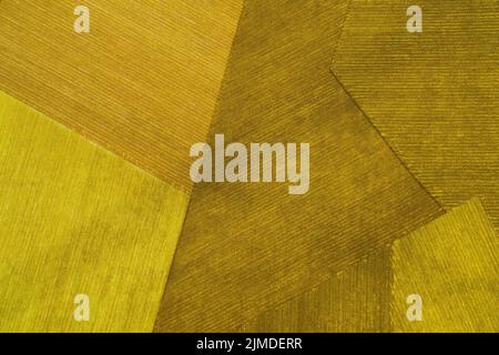 Fragment of Fabric Wallpaper Texture with Delicate Striped Pattern Stock Photo