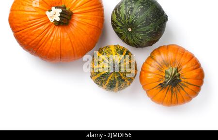 Fresh Autumn Pumpkins Isolated On White Background Stock Photo