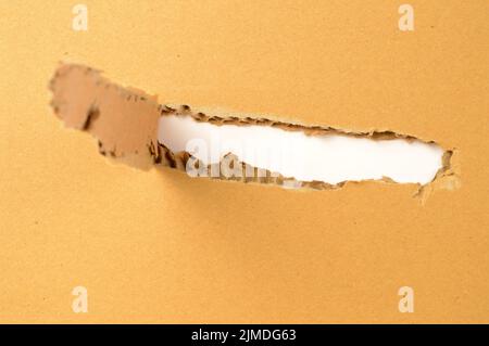Ripped Cardboard Box Stock Photo