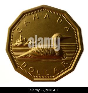 Canada Dollar Loonie Stock Photo