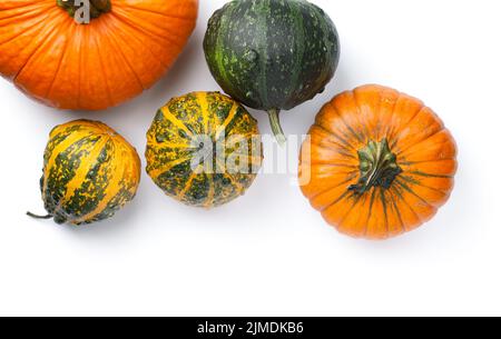 Autumn Pumpkins Isolated On White Background Stock Photo