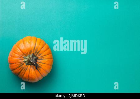 Orange Pumpkin On Turquoise Paper Background Stock Photo