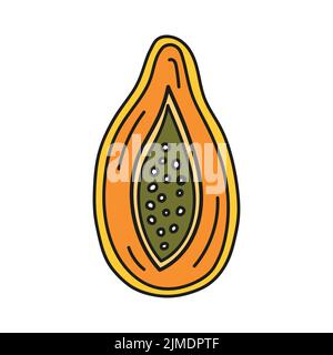 Vector illustration of papaya cut in half in doodle style. Stock Vector