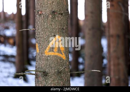A warning sign on a tree in a winter forest Stock Photo