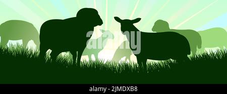 Sheep graze in pasture. Picture silhouette. Farm pets. Domestic animals wool. On background sunrise. Vector. Stock Vector